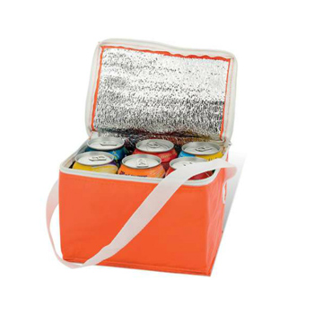 Cooler bag