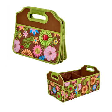 Car carry bag